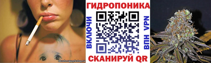 Гашиш Онега