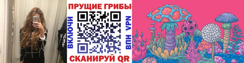 наркота  Онега  Галлюциногенные грибы MAGIC MUSHROOMS 